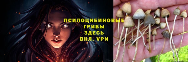 кокс Абаза