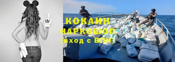 амф Алексин