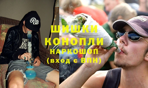ГАЛЛЮЦИНОГЕННЫЕ ГРИБЫ Алзамай