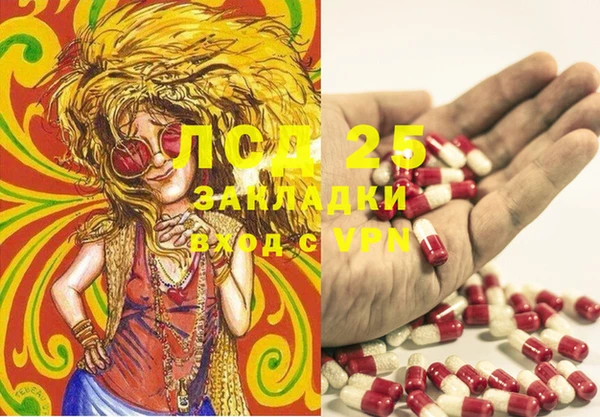 амф Алексин