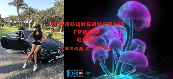 ГАЛЛЮЦИНОГЕННЫЕ ГРИБЫ Алзамай