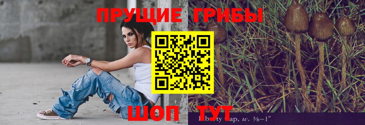 Добрянка  Псилоцибиновые грибы Cubensis  Вход с VPN 
