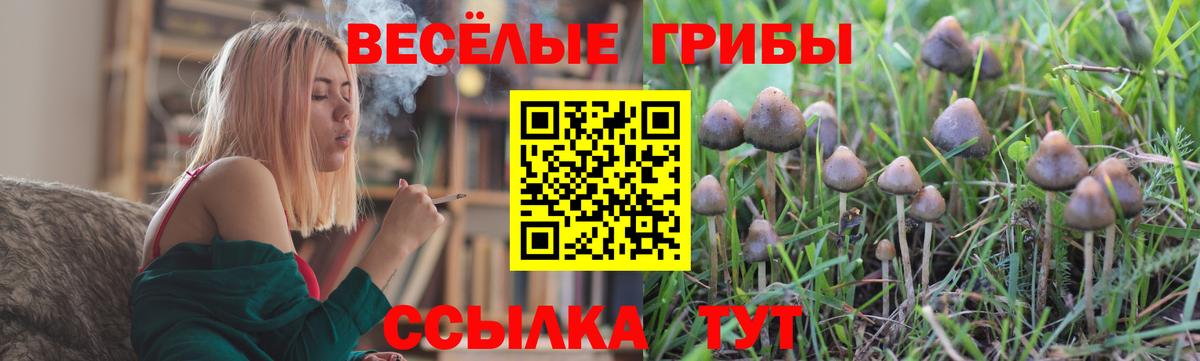 Галлюциногенные грибы MAGIC MUSHROOMS Добрянка